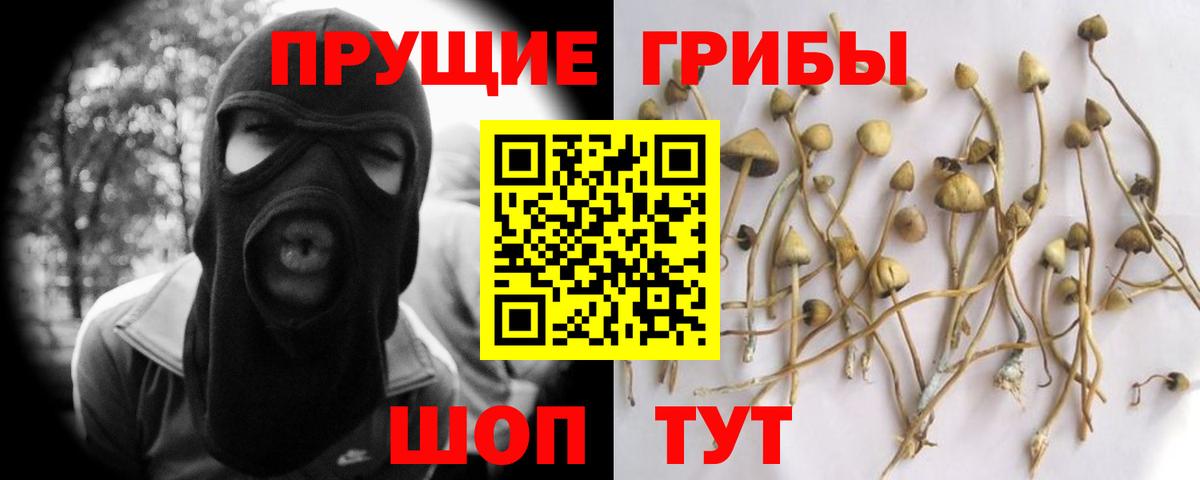 Черногорск  цена   Вход с VPN  Галлюциногенные грибы мухоморы  Галлюциногенные грибы Psilocybine cubensis 