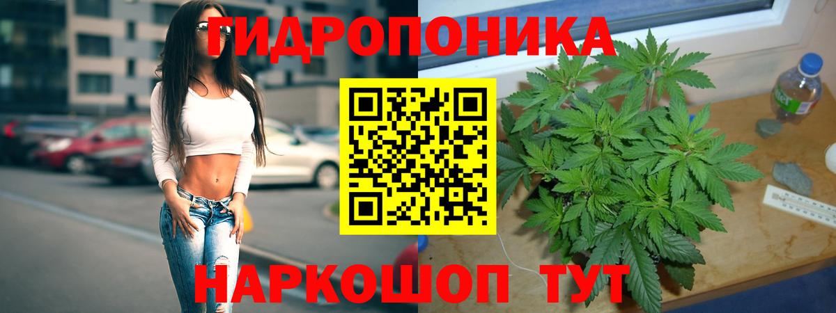 Конопля семена  Шишки марихуана LSD WEED  Вход с VPN  Черногорск  Каннабис марихуана  Шишки марихуана индика 